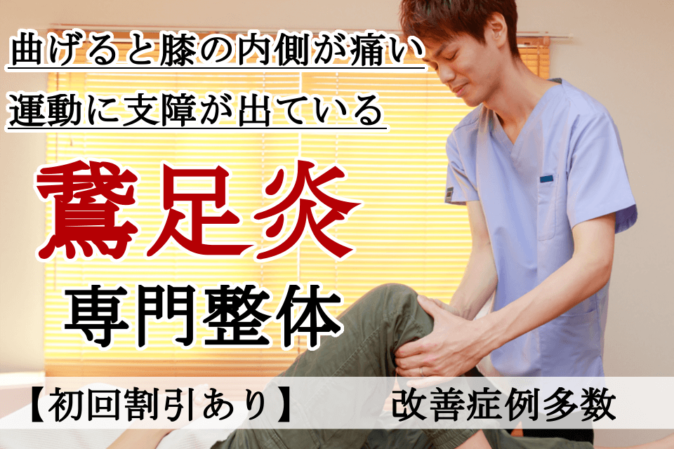 なぜ？他院では改善しなかった鵞足炎が当院の施術で改善するのか？