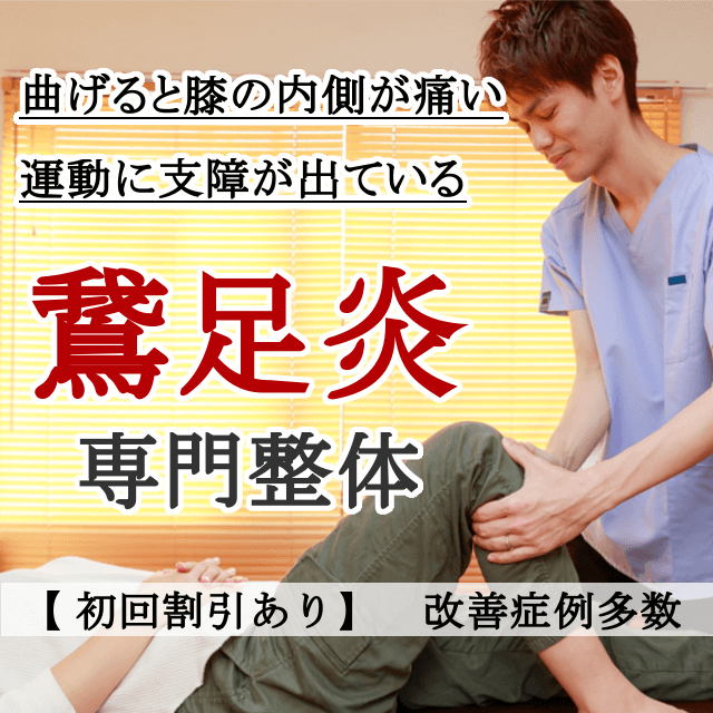 なぜ？他院では改善しなかった鵞足炎が当院の施術で改善するのか？